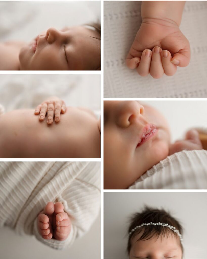 peoria arizona newborn photographer