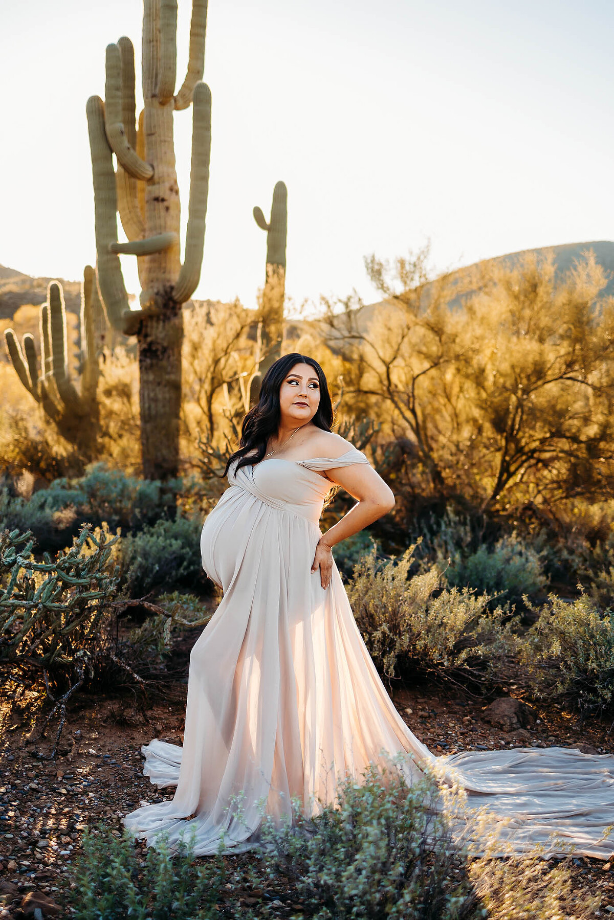 outdoor pregnancy photoshoot