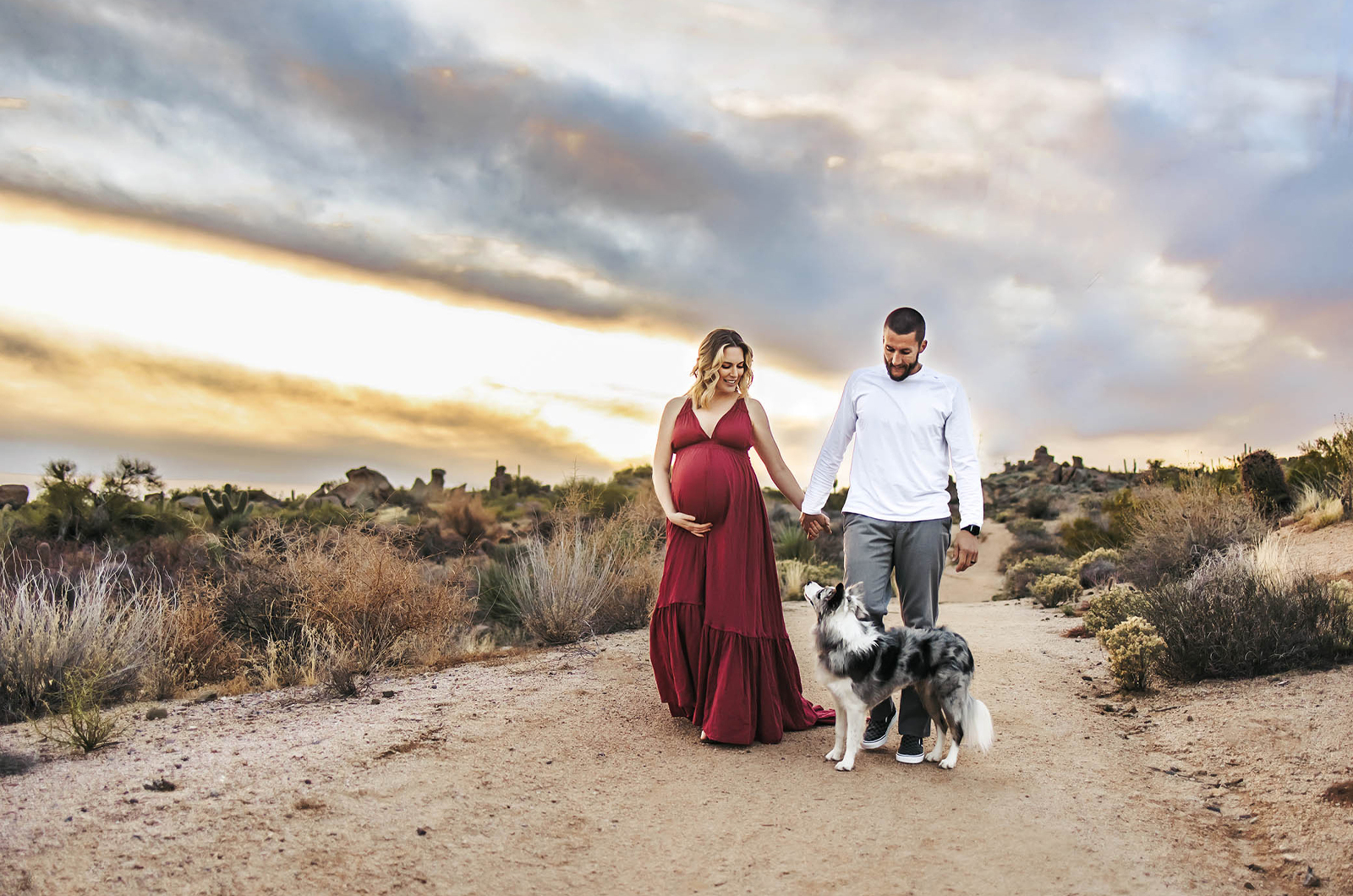 maternity portrait near scottsdale with dog